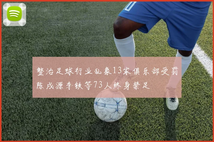 整治足球行业乱象13家俱乐部受罚陈戌源李铁等73人终身禁足