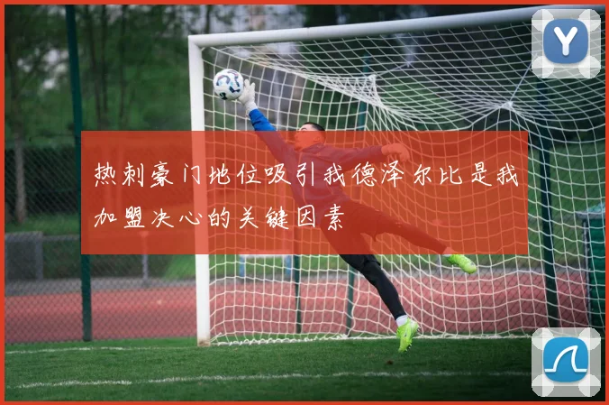 热刺豪门地位吸引我德泽尔比是我加盟决心的关键因素